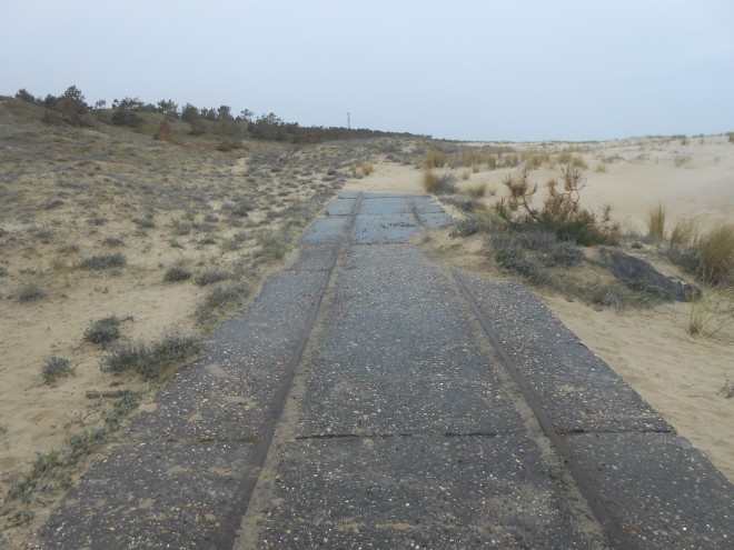DSCN4869.JPG