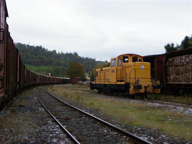 IMGP8753 (Small).JPG