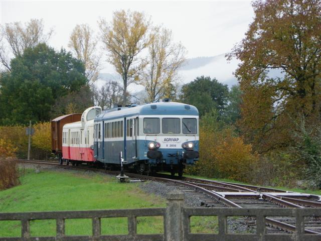 IMGP8961 (Small).JPG