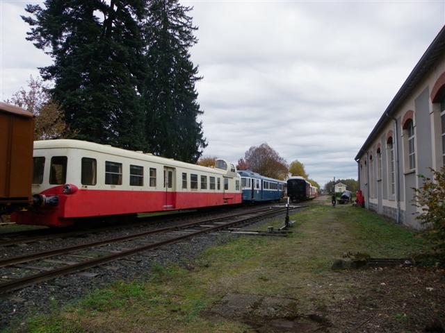 IMGP8964 (Small).JPG