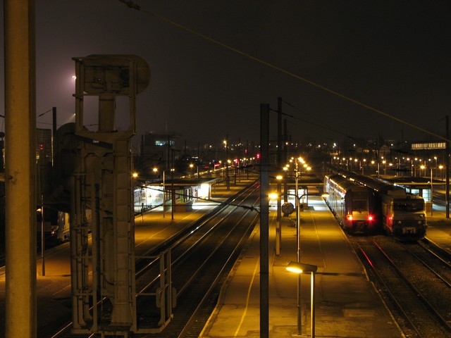 tgr.jpg
