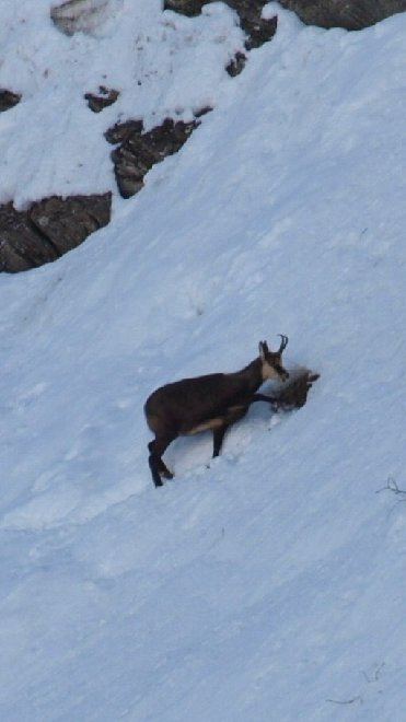 QUEYRAS Février 2009 055.JPG