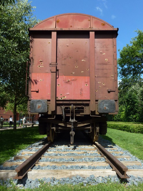 P1080205_lt.jpg
