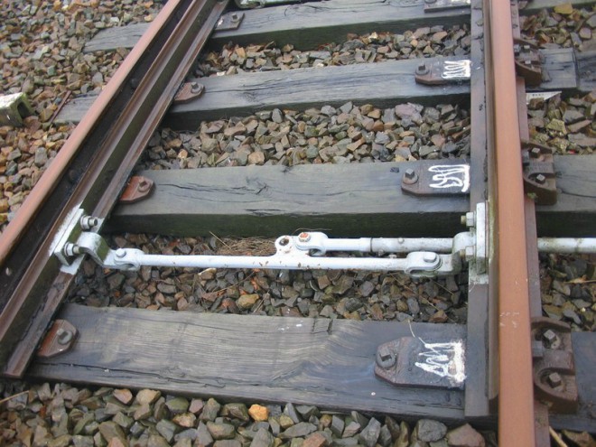 95105230.jpg