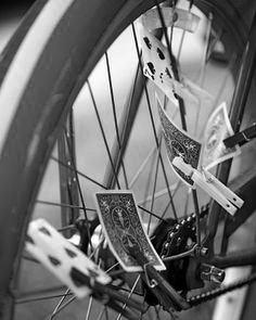 cartonvelo.jpg