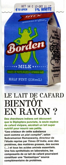 Lait.jpg