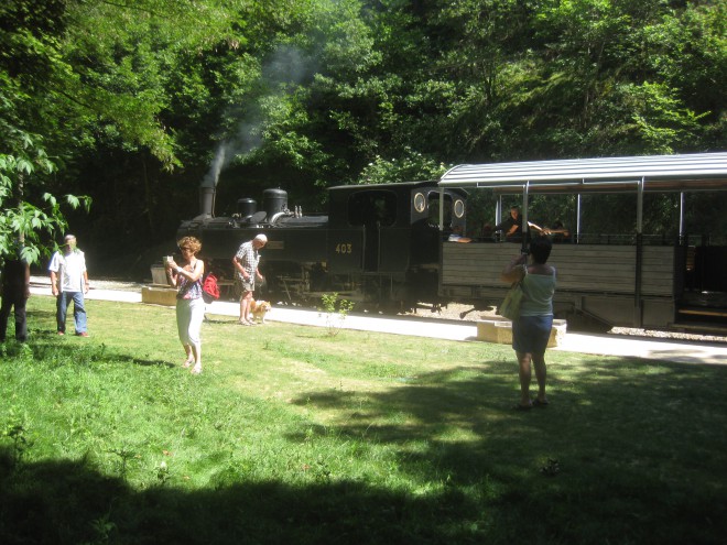 IMG_8093.JPG
