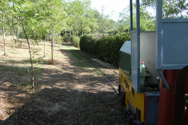 DSCF4394.JPG
