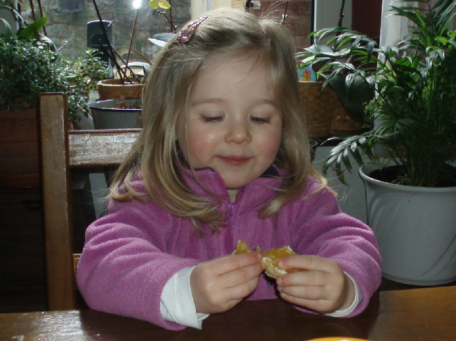 P3110029.JPG
