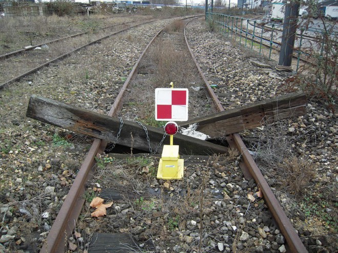 DSCN0513.JPG