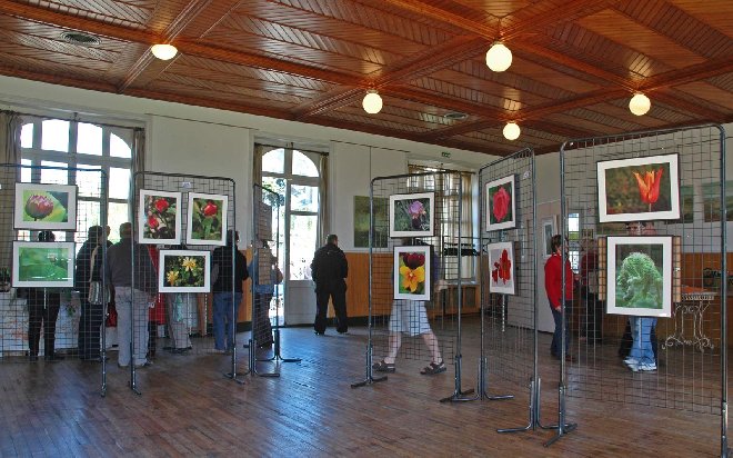 Préfailles-2009-031rw.jpg