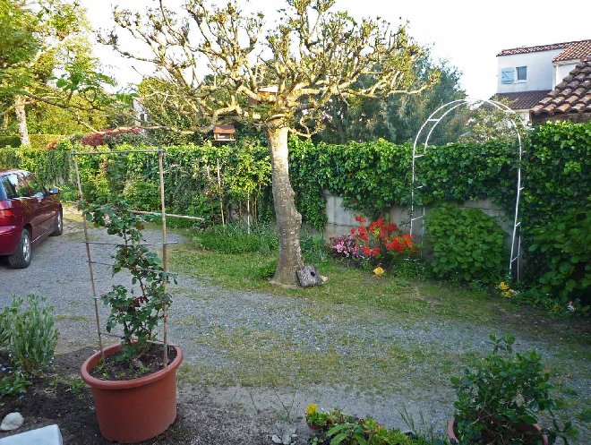 P1020856brw.jpg