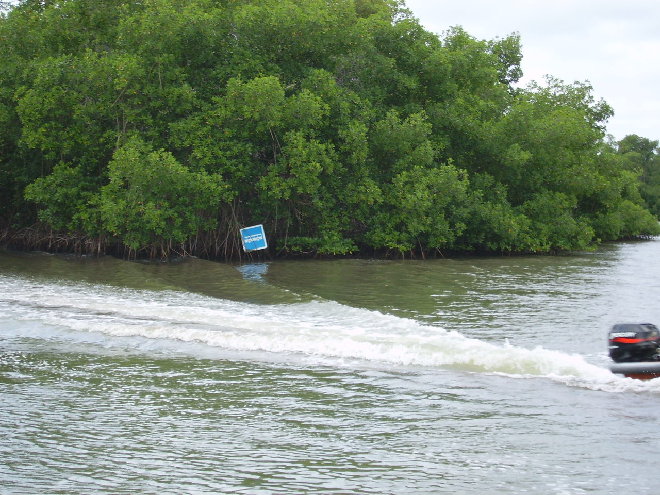 PICT1138.JPG