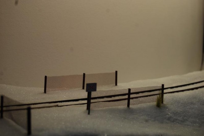 dsc_5615-copier--350009c.jpg