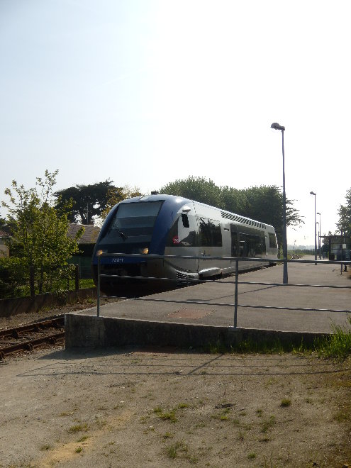 DSCN0088.JPG