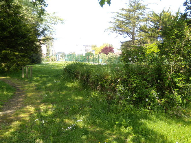DSCN0106.JPG