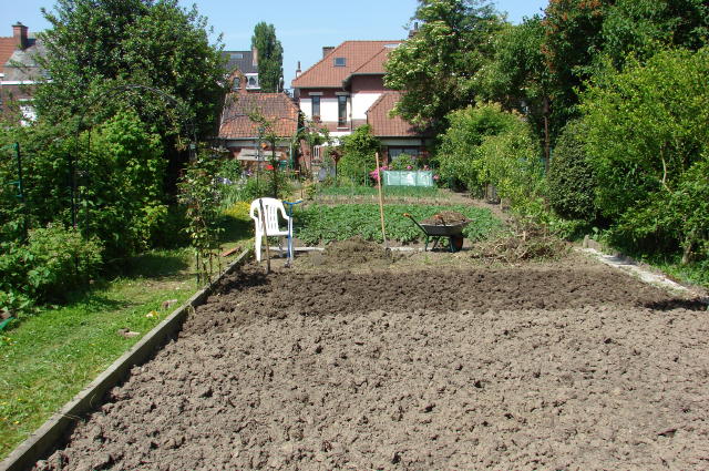 potager.jpg