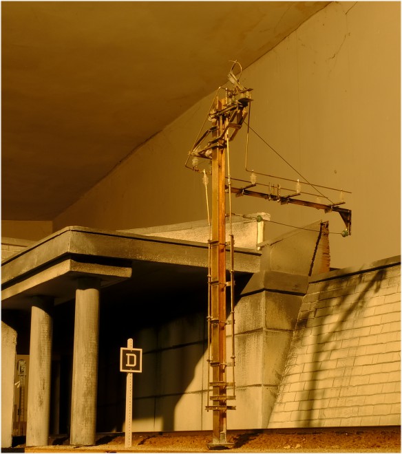 _DSF0755.JPG