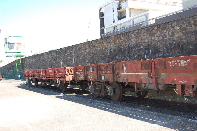 DSC_1315.JPG