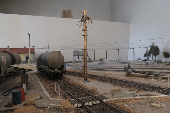 _DSF1110.JPG