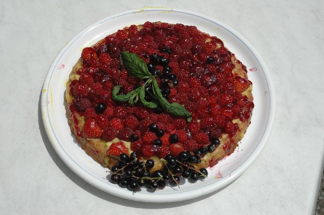 Gateau Framboises-004bw.jpg