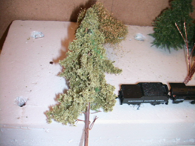 PHOTOARCHIVES 2009 6 018.jpg