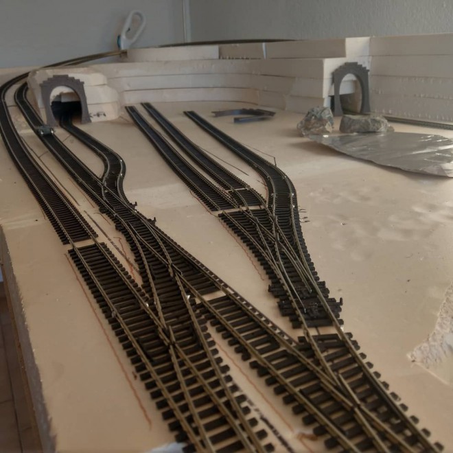3DCD4A2B-A4CF-4041-8C4D-EBD841615276.jpeg