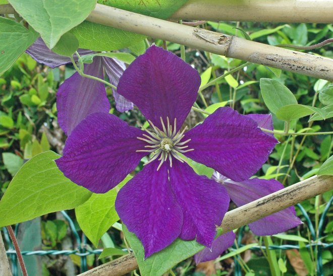 DSC_7259brw.jpg