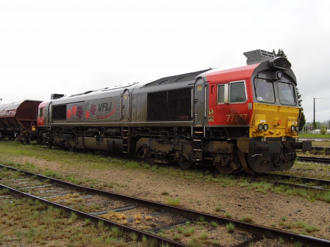 DSCI0435.JPG