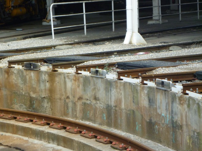 P1000185.JPG