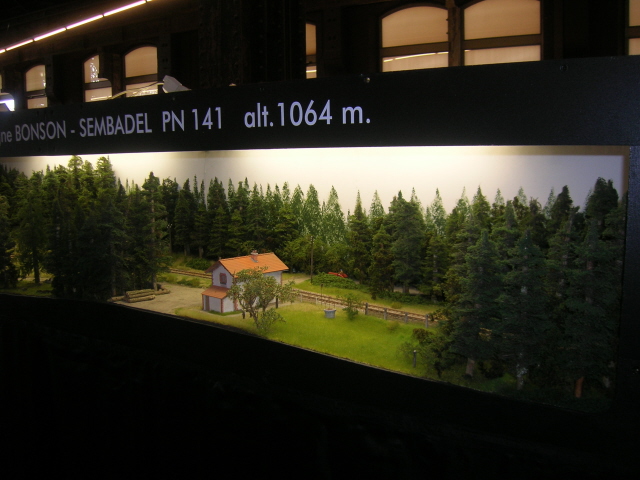 C01.jpg