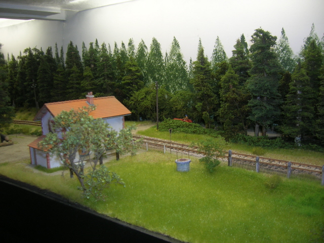 C02.jpg