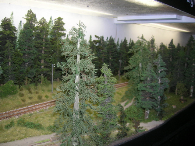 C03.jpg