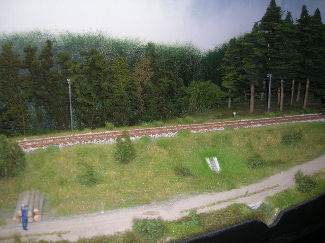 C04.jpg