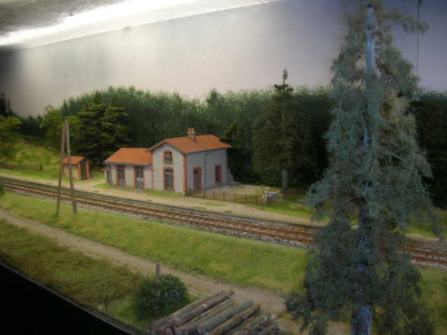 C06.jpg
