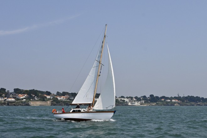 _PPD7802r.jpg