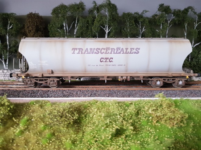 20250726_143112.jpg