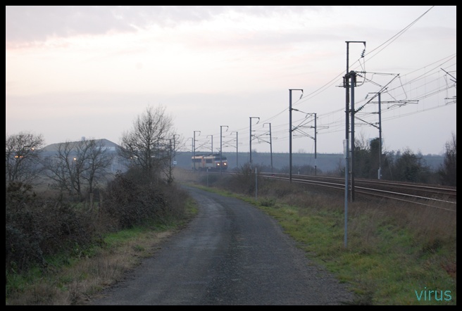 DSC_2494.JPG