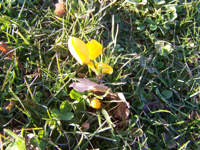 100_4804.JPG