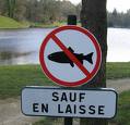 poisson.jpg