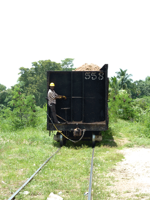 P1030432.gif