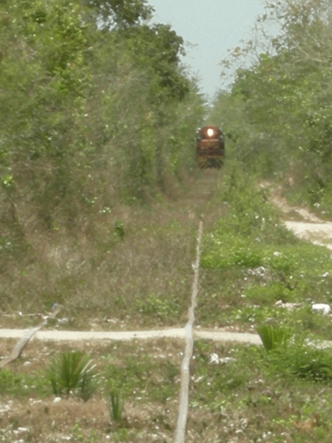 DSCN2276.gif