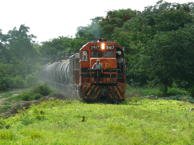 P1070369.gif