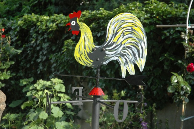 DSC_8020rw.jpg