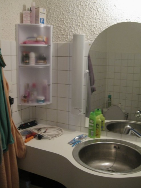 sdb 11 aout 2010 03 reduit.JPG