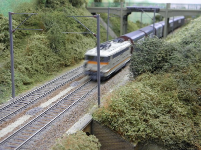 PA021126.JPG