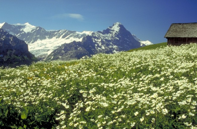 prairie.jpg