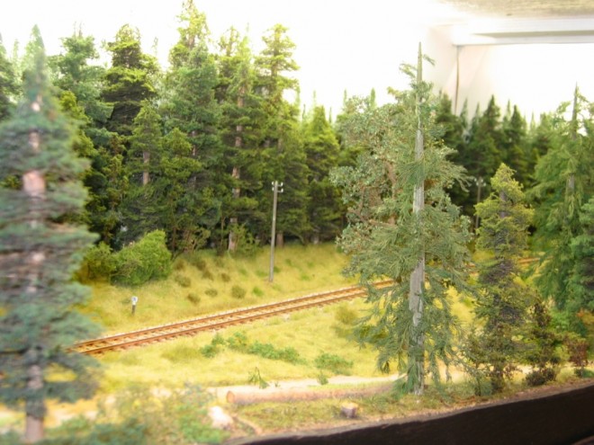 montelirail 2010 021.jpg