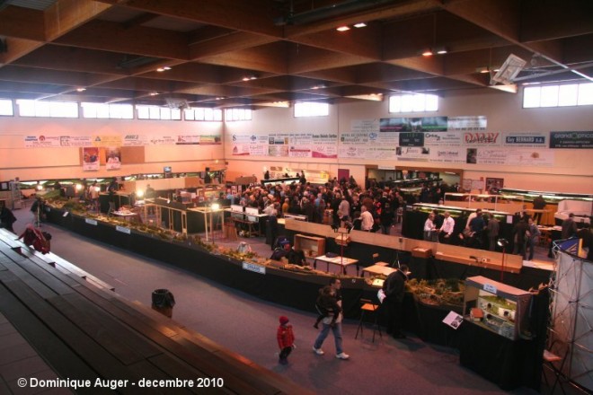 ouverture officielle 01 reduit.JPG