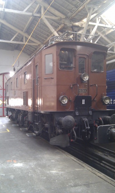 IMAG0242.jpg